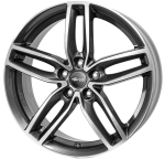 rc29 hgvp 2 standard.png